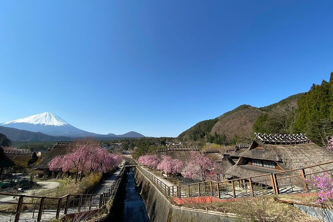 Mt Fuji Full-Day Tour By Car - Traveler Photos and Reviews
