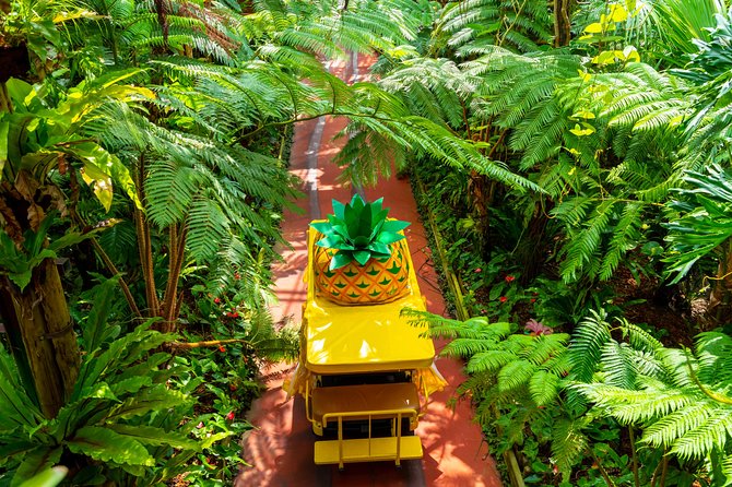 Nago Pineapple Park Attraction Tickets - Pineapple Sampling and Wine Tastings