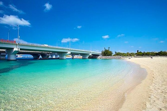 Naha Full-Day Private Tour With Government Licensed Guide - Private Vehicle Arrangements for Larger Groups