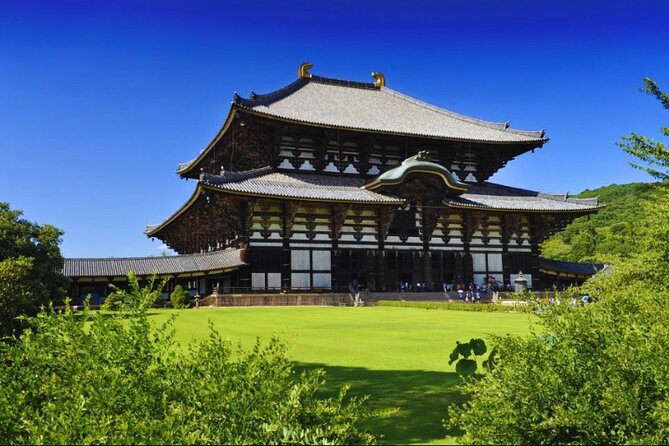 Nara, Todaiji Temple & Kuroshio Market Day BUS Tour From Osaka - Reviews