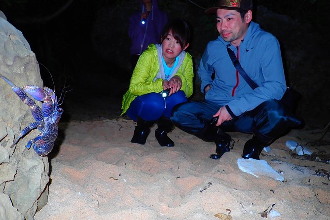 [Okinawa Iriomote] Night Adventure Tour - Unforgettable Experiences on the Okinawa Iriomote Night Adventure Tour