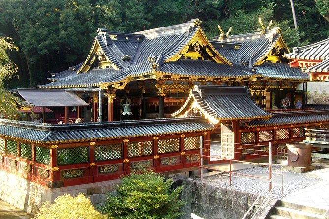 Port Pick-Up: Shizuoka Tour With Licensed Guide and Vehicle - Reviews