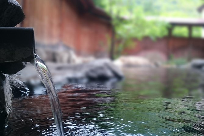 Private Car Day Trip to the Kobe Mountains, Gardens and Hot Springs From Osaka - Meeting and Pickup