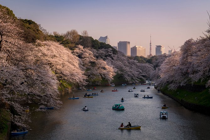 Private Tokyo Photography Walking Tour With a Professional Photographer - Tips for Capturing the Best Photos in Tokyo