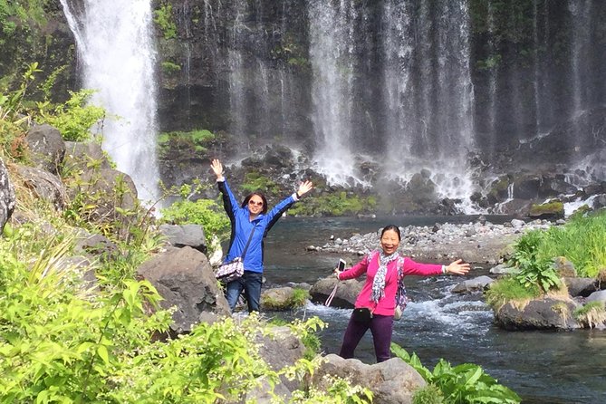 Private Tour to Lake Tanuki, Shiraito Falls... for Cruise Ship Passengers - Questions and Help