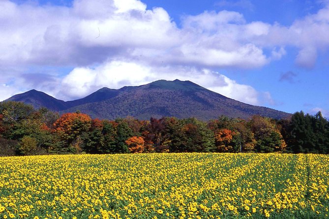 SkyExpress: Furano & Biei Customised Private Day Tour (Up to 8 Passengers) - Cancellation Policy