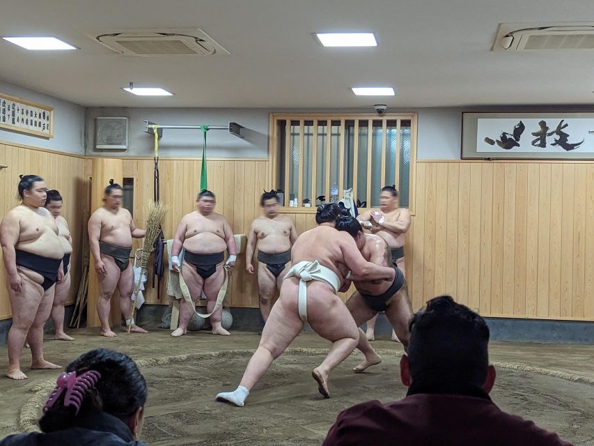 Tokyo: Morning Sumo Practice Viewing - Inclusions