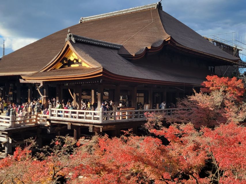 Tour in Kyoto With a Goverment Certified Tour Guide - Customer Reviews