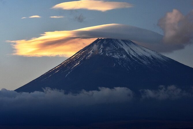 Virtual Tour to Discover Mount Fuji - Wildlife and Nature at Mount Fuji