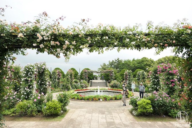 Yokohama / Kamakura Half-Day Private Trip With Government-Licensed Guide - Reviews