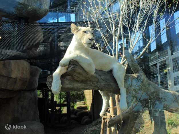 Okinawa Zoo & Museum Admission Ticket - Overview of Okinawa Zoo & Museum