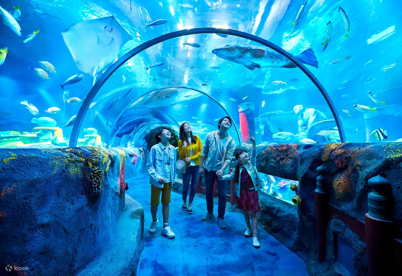 Legoland Japan Resort Ticket - SEA Life Nagoya