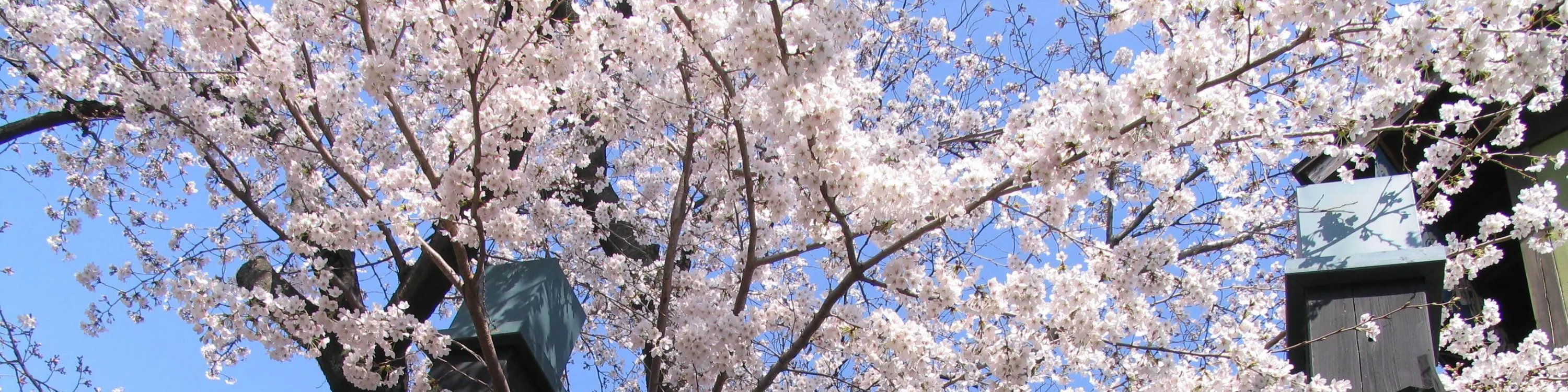 TOEI Kyoto Studio Park Ticket - The Sum Up