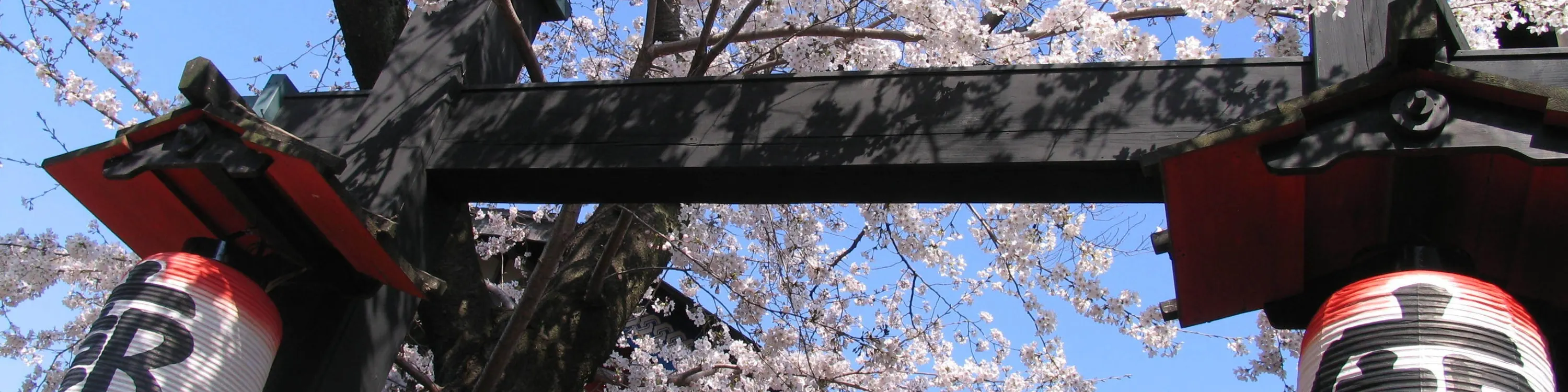 TOEI Kyoto Studio Park Ticket - Dressing up and Cosplay Opportunities