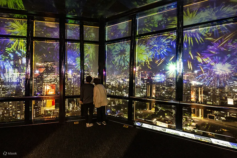 Tokyo Tower Observatory Ticket - Panoramic Views