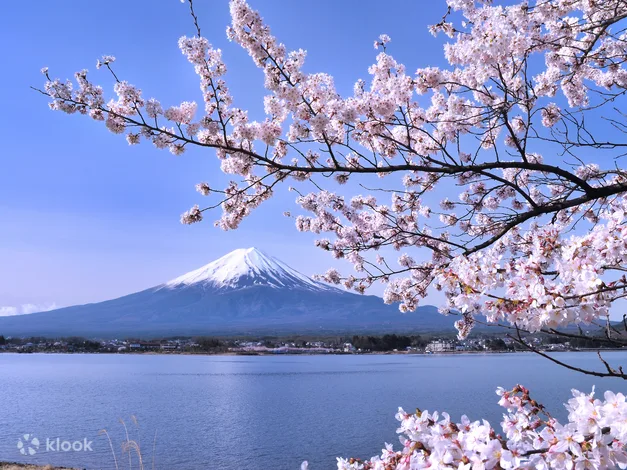 Jr Tokyo Wide Pass - What is it?