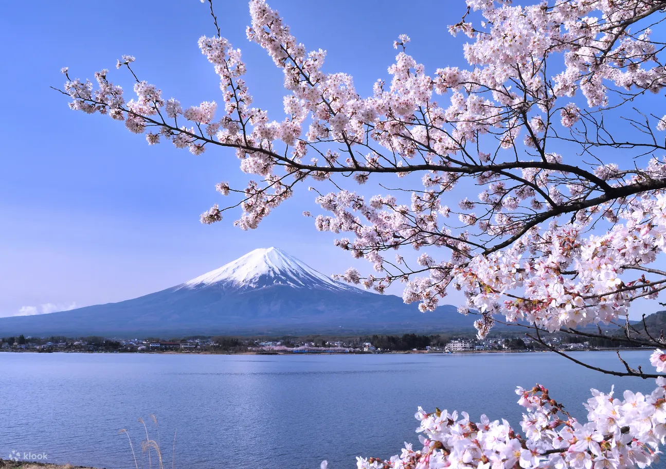 Jr Tokyo Wide Pass - Benefits and Coverage