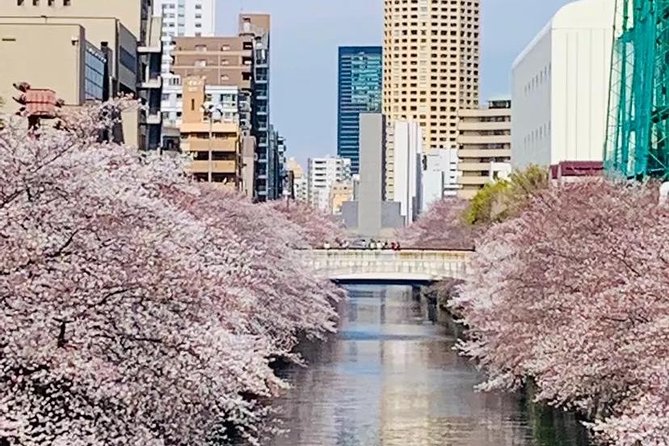 1 Day Private Charter Tokyo Sight Seeing Tour With Guide - Additional Information