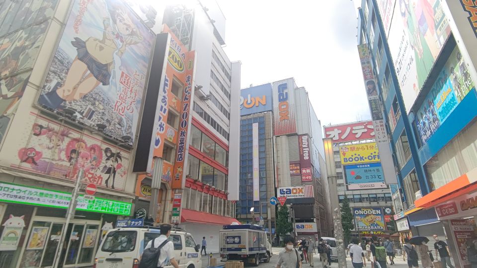 Akihabara: Anime and Electronics Guided Tour - Inclusions