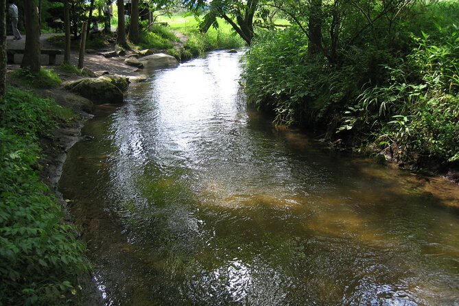 All Must-Sees Tono Private Tour With Government-Licensed Guide - Reviews and Pricing