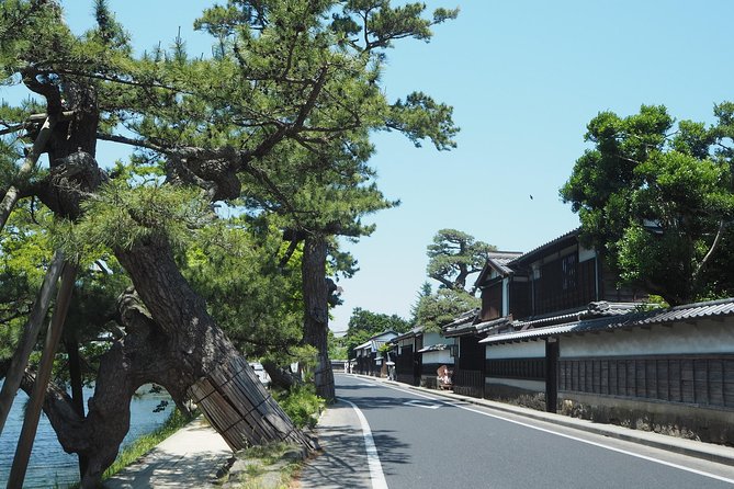 An E-Bike Cycling Tour of Matsue That Will Add to Your Enjoyment of the City - Indulging in Matsues Culinary Delights