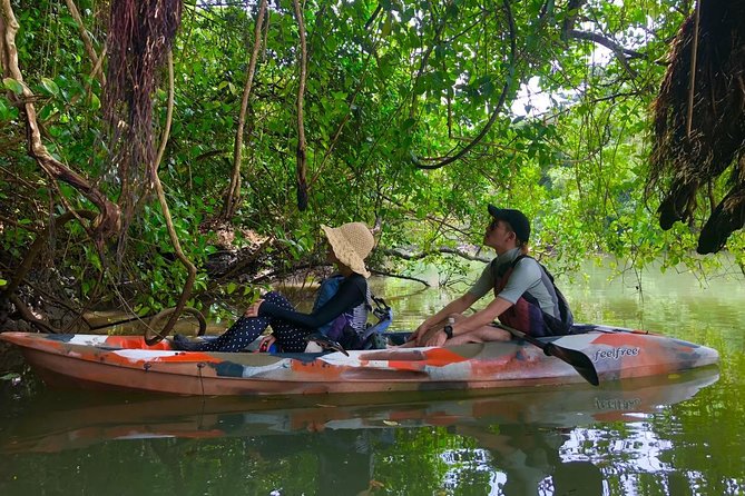 Enjoy Nature! Mangrove Kayak Tour! - Cancellation Policy