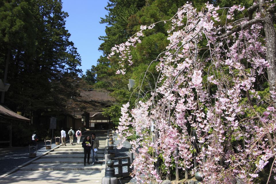 From Osaka: Mt. Koya Private Walking and Train Tour - Customer Reviews