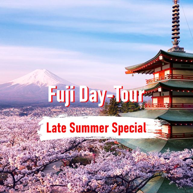 From Tokyo: 10-hour Mount Fuji Private Customizable Tour - Group Information and Customer Reviews
