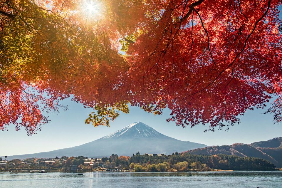 From Tokyo: Hakone, Owakudani, & Lake Kawaguchi Day Tour - Inclusions