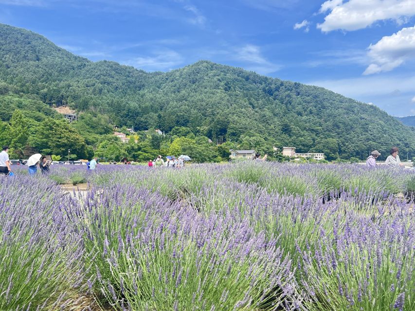 From Tokyo: Mount Fuji and Hakone Private Day Tour - Discovering Japans History and Culture