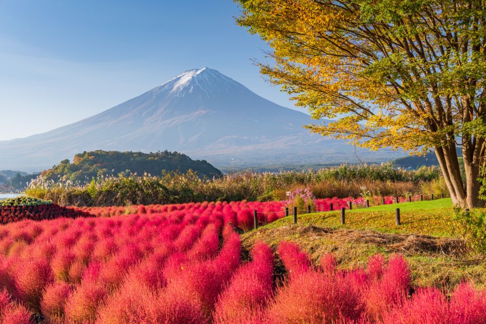 From Tokyo: Mount Fuji Highlights Private Day Tour - Customer Review and Exceptional Service