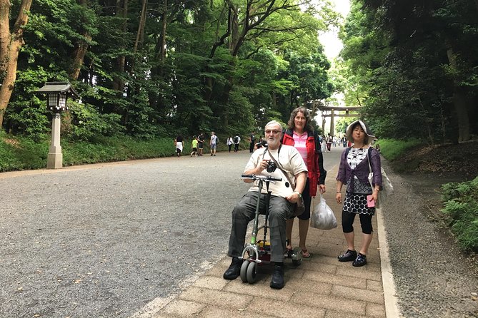 Full-Day Accessible Tour of Tokyo for Wheelchair Users - The Sum Up