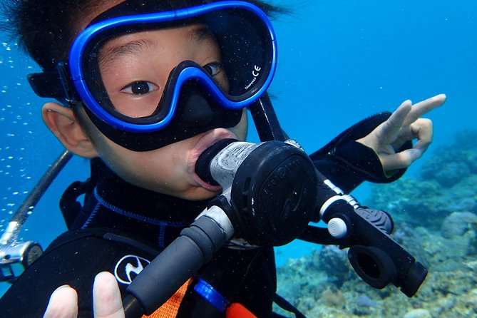 Full Day "Experience Diving" Trip at Kerama Islands - The Sum Up