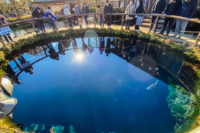 Full-Day Private Tour of Mt. Fuji With Pick up - Additional Information