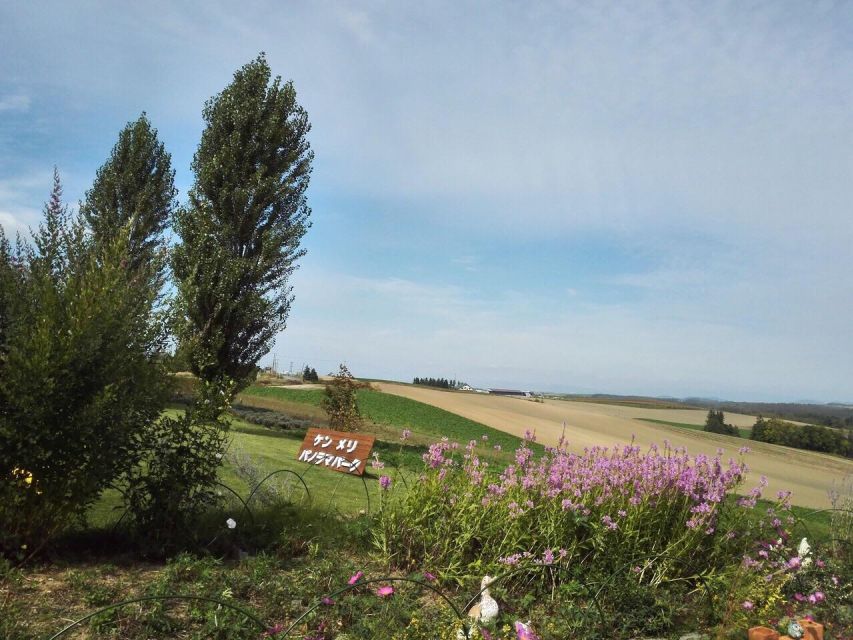 Hokkaido: Asahiyama Zoo, Furano, Beiei Blue Pond 1-Day Tour - Frequently Asked Questions