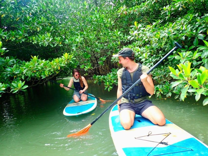 Ishigaki Island: 2-Hour Miyara River Kayaking Tour - Japanese and English Speaking Instructors