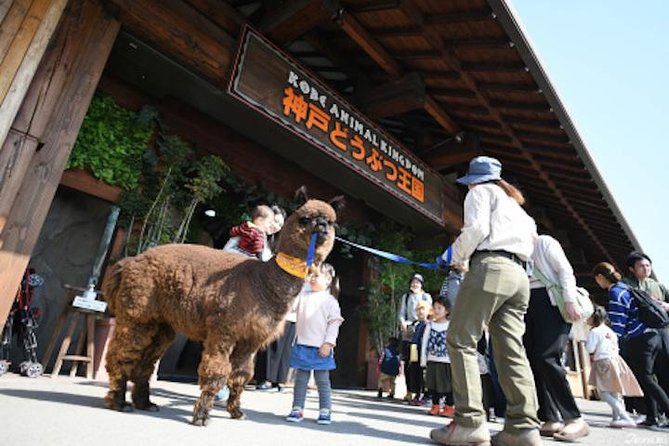 KOBE Custom Tour With Car and Driver (Max 9 Pax) - Meeting and Pickup Details