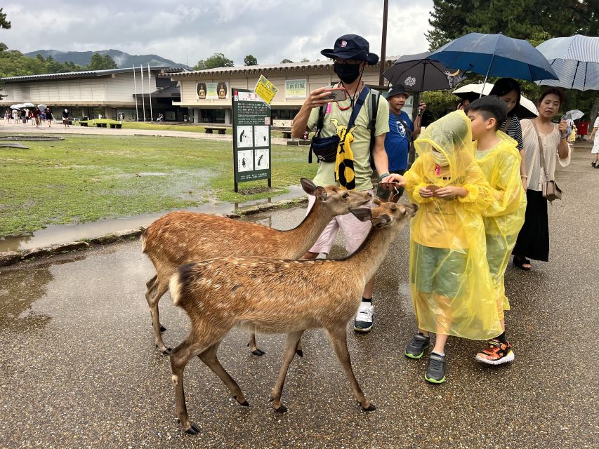 Kyoto and Nara 1 Day Bus Tour From Osaka/Kyoto - Inclusions