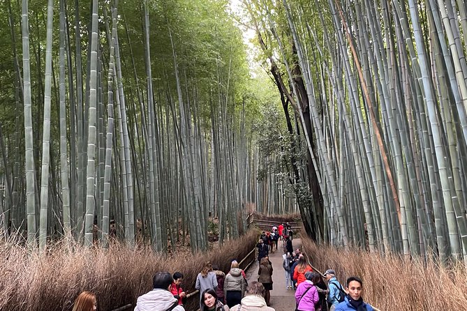 KYOTO-NARA Custom Tour With Private Car and Driver (Max 13 Pax) - Pricing