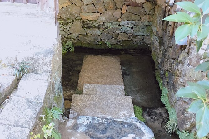 Kyoto Tea Town for Matcha Lovers - Matcha Desserts in Kyoto