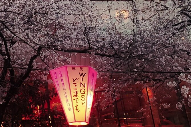 Licensed Guide Tokyo Meguro Cherry Blossom Walking Tour - Reviews and Ratings