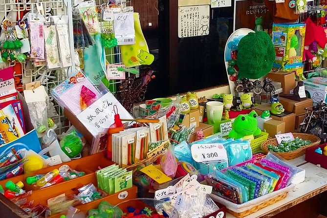 Matsumoto Half-Day Private Tour With Government Licensed Guide - Visit Matsumoto City Museum of Art