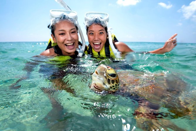 Miyakojima / Snorkel Tour to Swim With Sea Turtles - Expert Guides and Safety Measures