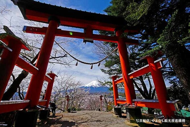 Mt. Fuji & Arakurayama Sengen Park Bus Tour - From Tokyo - Alternative Visits for Unreachable Locations