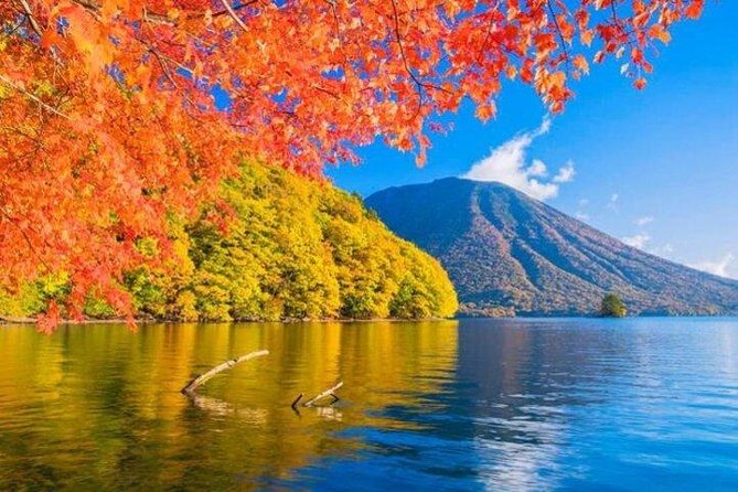 Nikko Tour From Tokyo With Guide and Vehicle - Hassle-Free Pickup