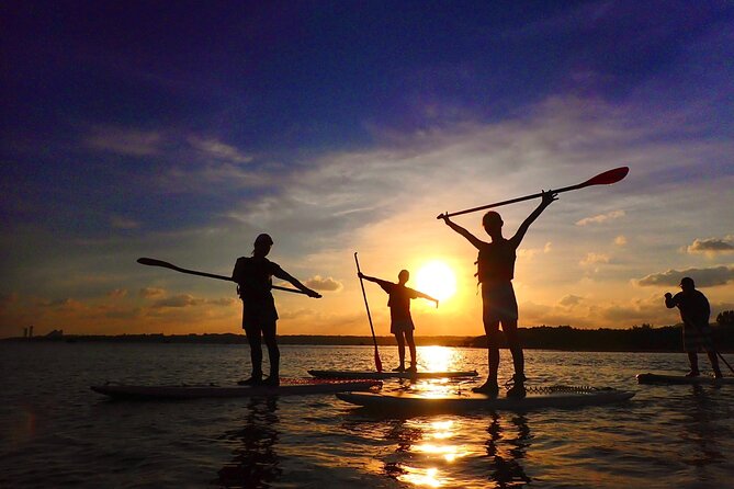 Okinawa Iriomote Sunset SUP/Canoe Tour in Iriomote Island - Traveler Photos and Visual Insights