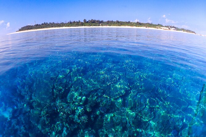 Okinawa: Scuba Diving Tour With Wagyu Lunch and English Guide - Contact Information and Additional Reviews