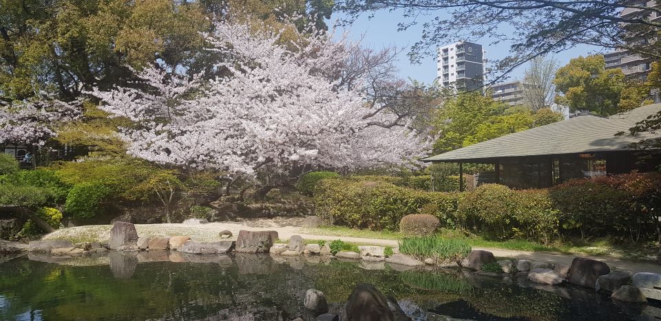 Osaka: Full-Day Sightseeing Tour by Private Vehicle - Positive Customer Reviews