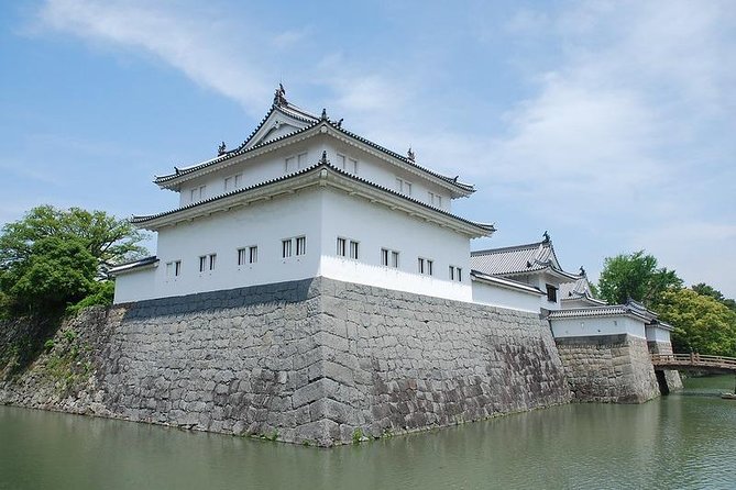 Port Pick-Up: Shizuoka Tour With Licensed Guide and Vehicle - Itinerary