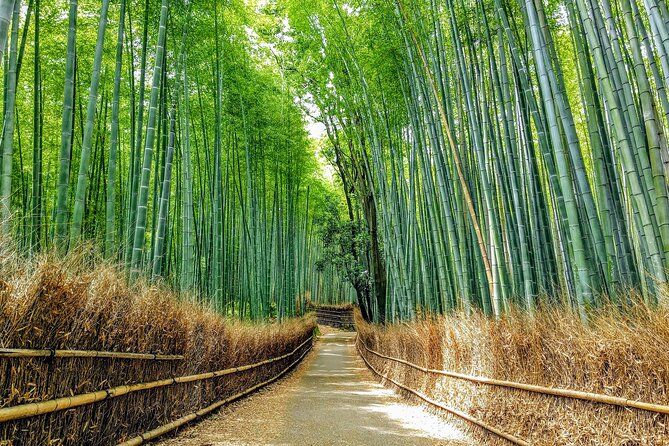 Private Arashiyama Walking Tour: Bamboo, Monkeys & Secrets - Pricing and Legal Information
